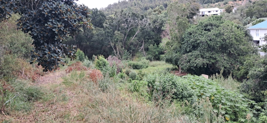  Bedroom Property for Sale in Phantom Village Western Cape